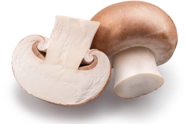 Uprawa pieczarek krok po kroku