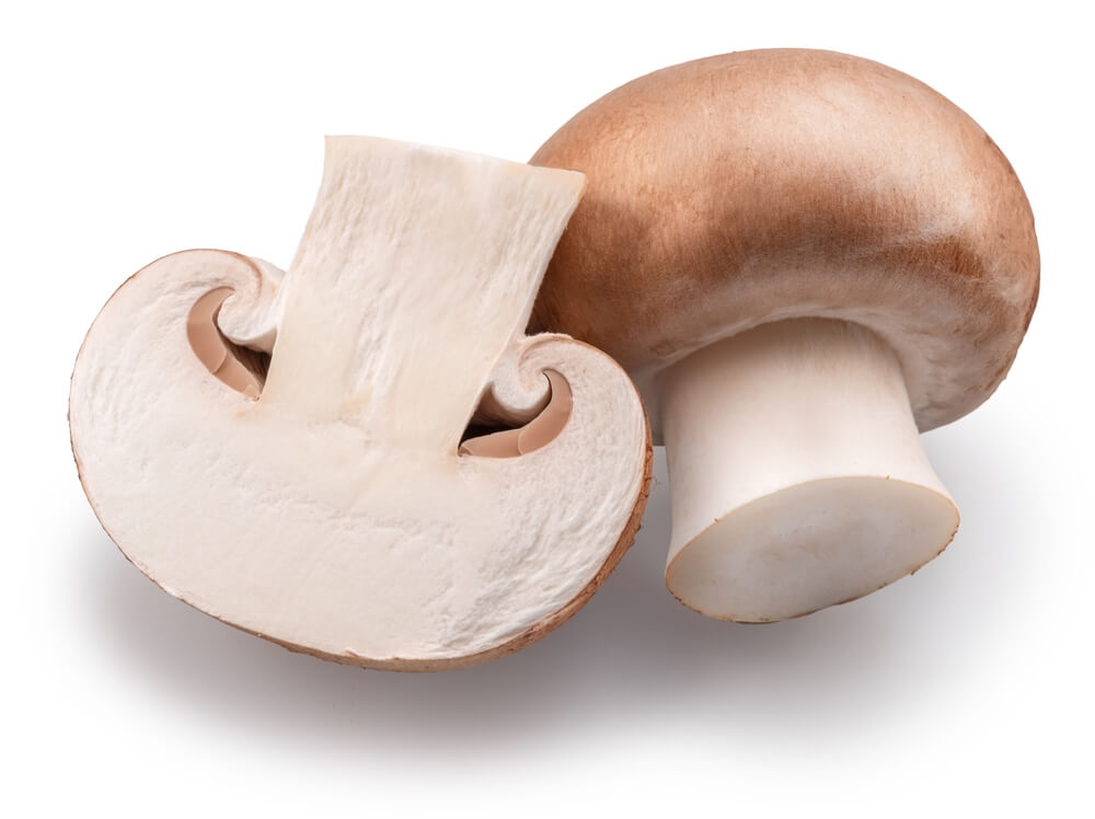 Uprawa pieczarek krok po kroku