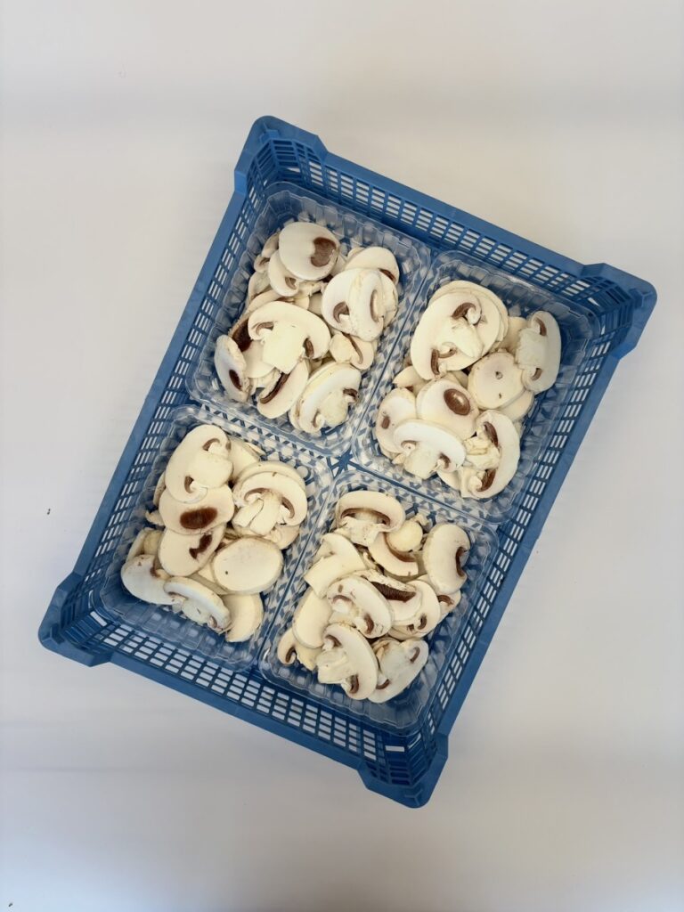 Pieczarka biała