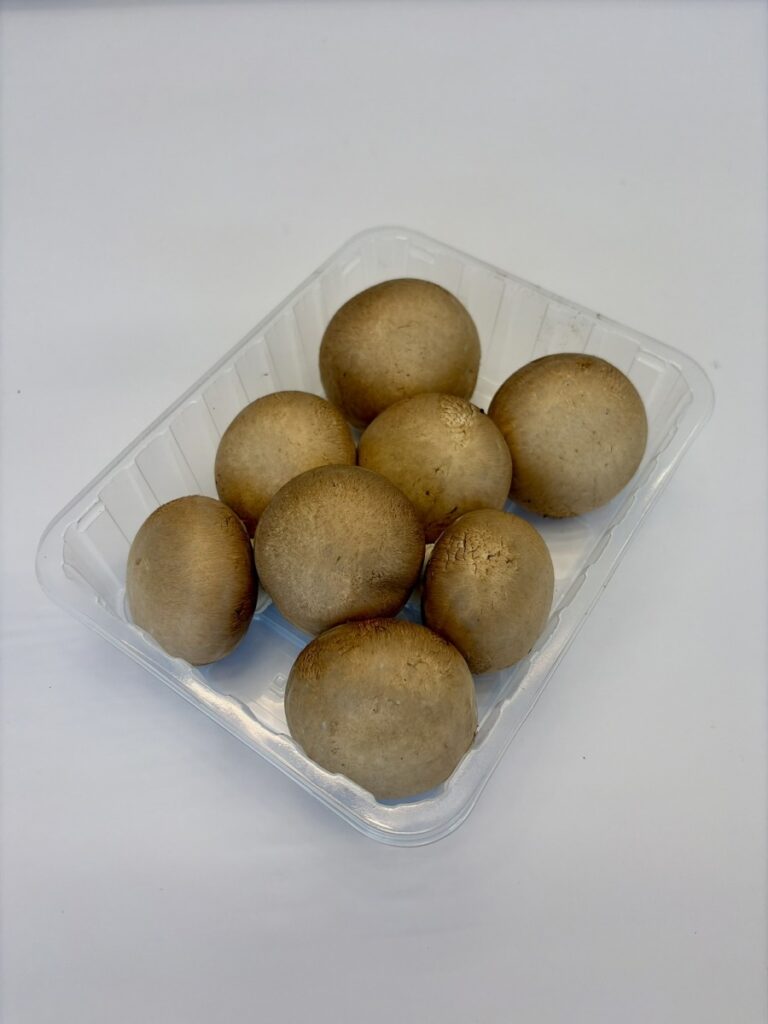 Pieczarka brunatna