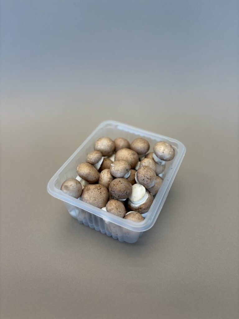Pieczarka brunatna