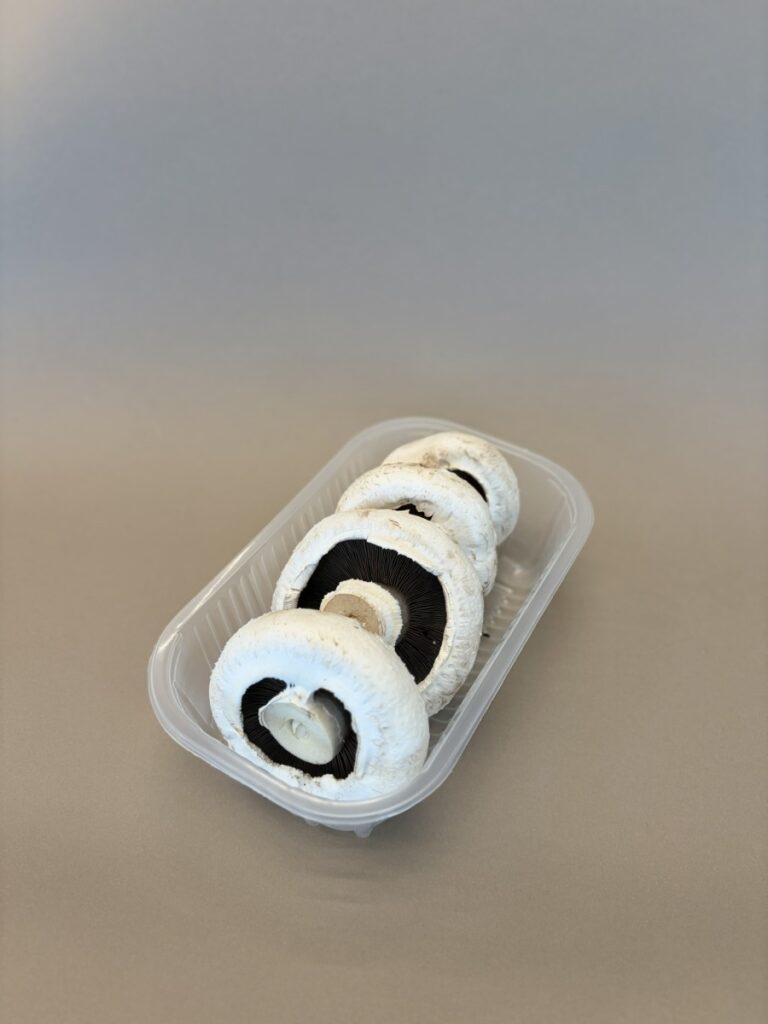 Pieczarka biała