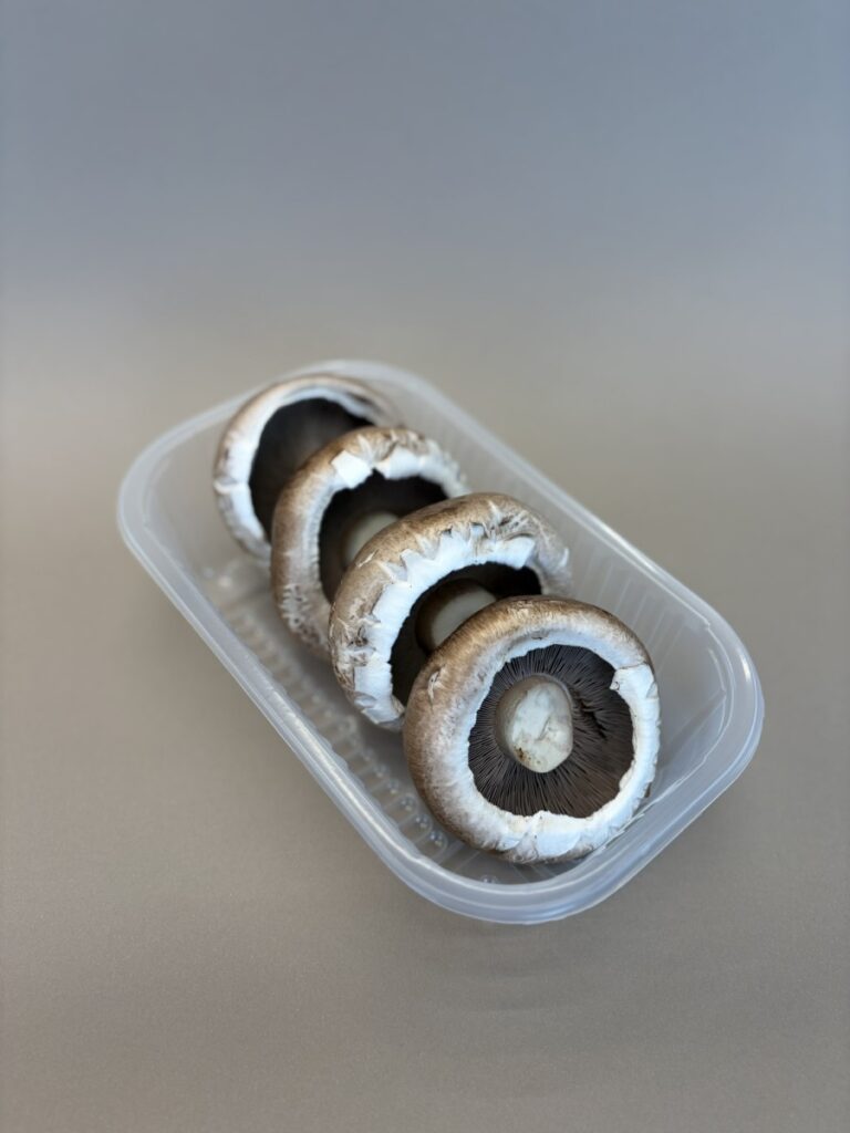 Pieczarka brunatna